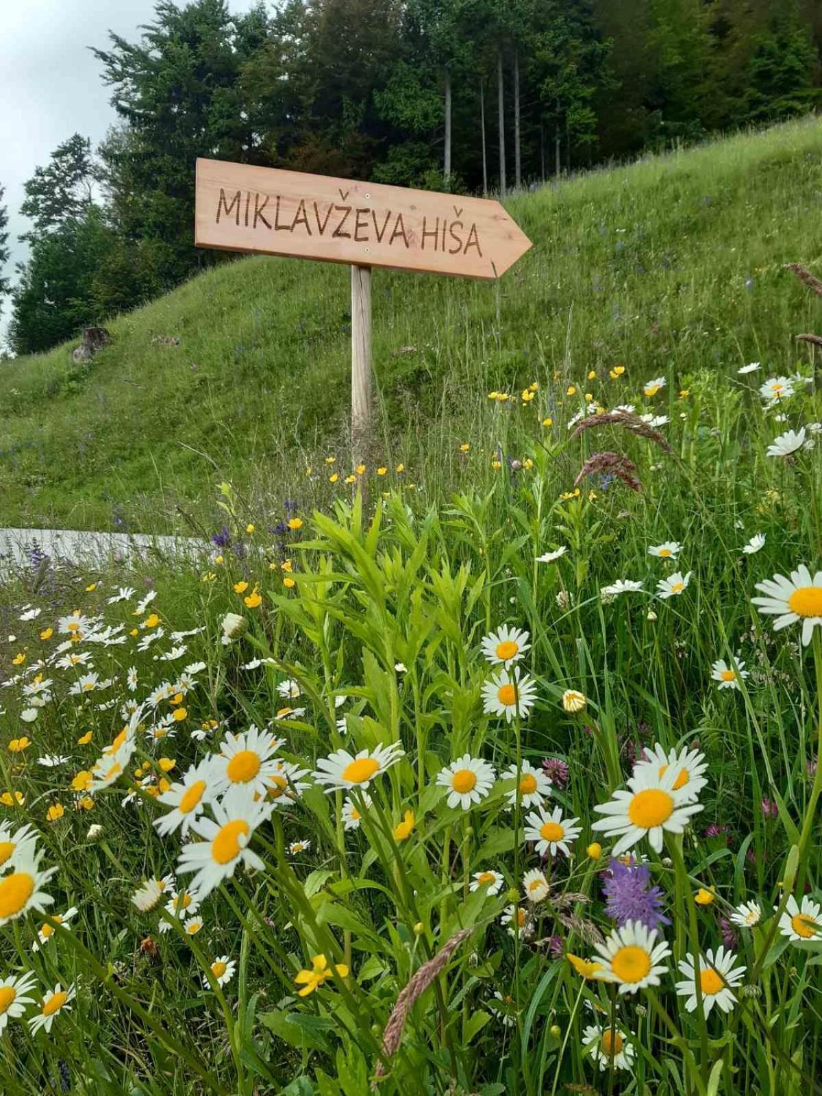 Miklavzeva Hisa With A Bread Oven Zelezniki Exterior foto